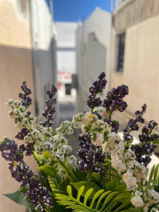 Naxos City Portara Gem Apartments מראה חיצוני תמונה